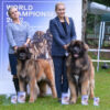 IULH Winners: BOB, Family Gold Leon Ezhinka, BOS Gelios Leo vom Zarendorf