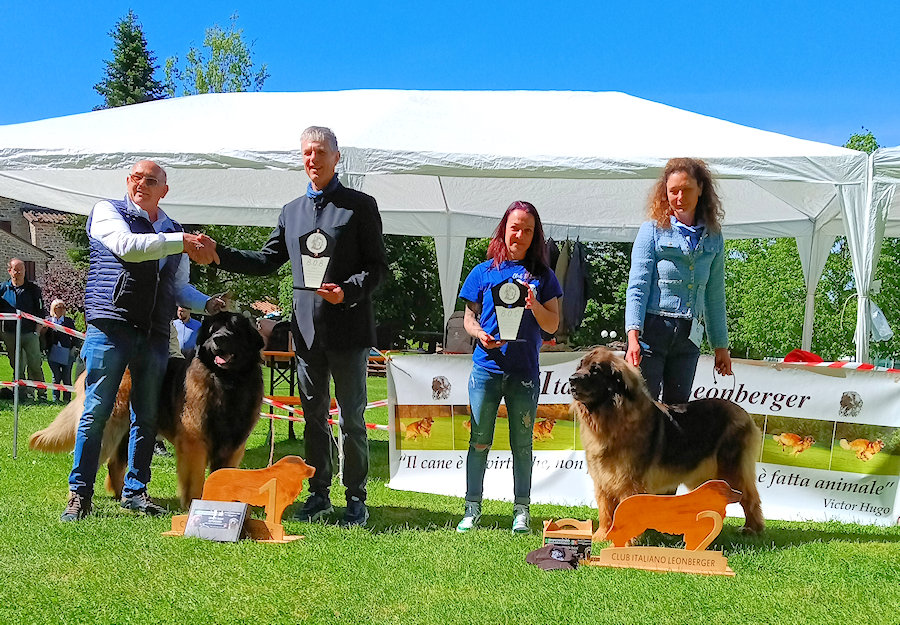 BIOB & BOS Italian Leonberger Club Show 2024