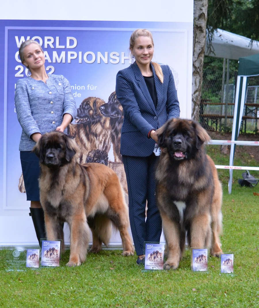 BOB & BOS IULH World Championship Show 2022