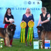 BOB & BOS Polish specialty show 2024