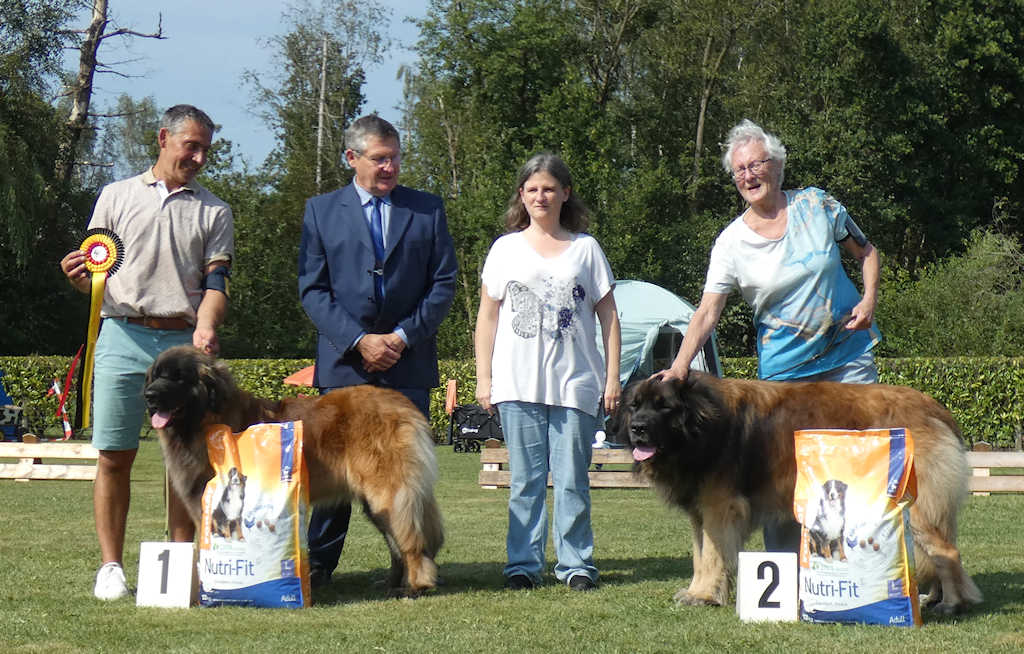 BOB & BOS Bonheiden 2024