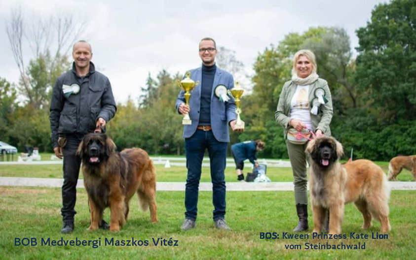 BOB & BOS Hungary 2024