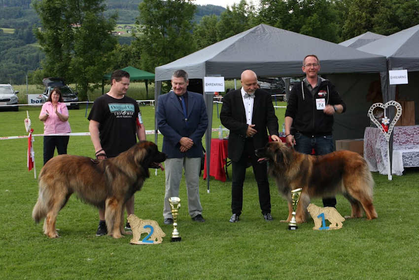 BOB & BOS Austria 2024