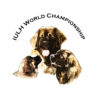 World Championship Logo LR