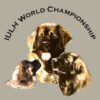 World Championship Logo 500 pix
