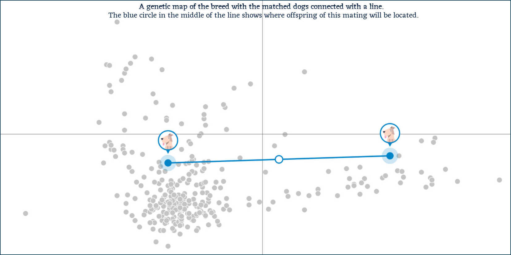 Dogmatching graphic