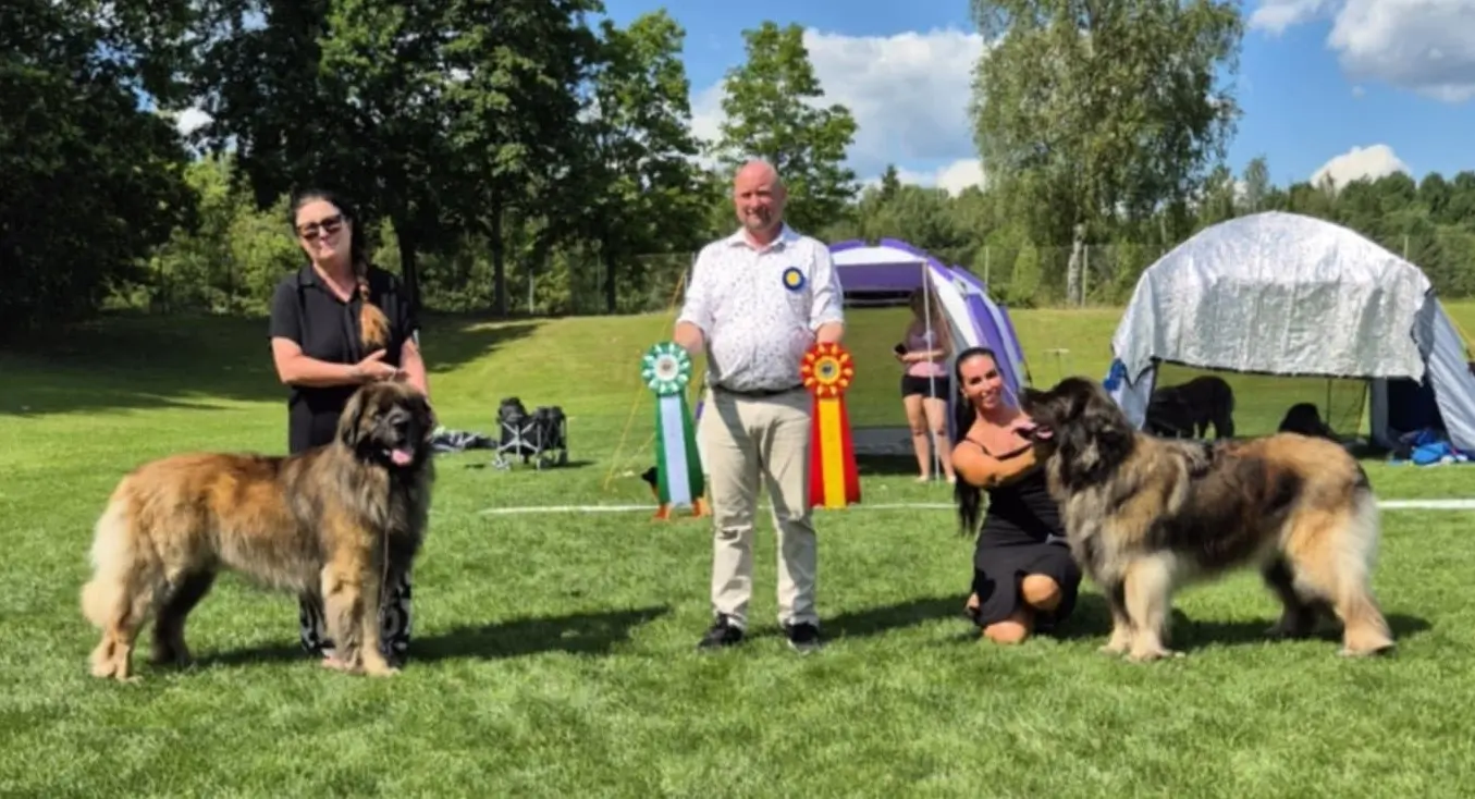 BOB BOS Vasteras