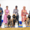 Best Breeding Group