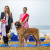 Best junior
