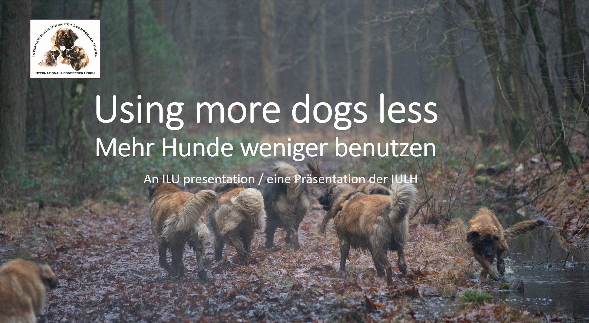 Poster use more dogs less