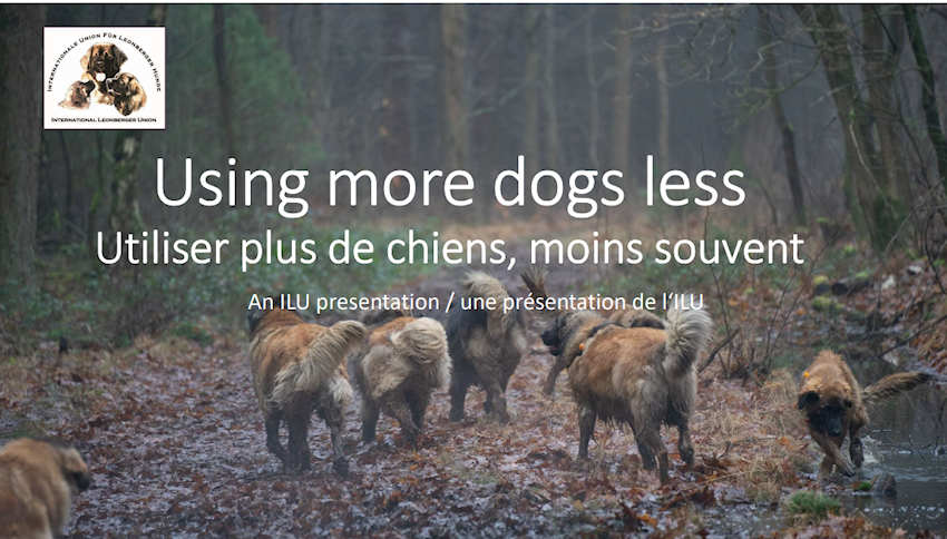 Poster Utilser Plus de Chiens
