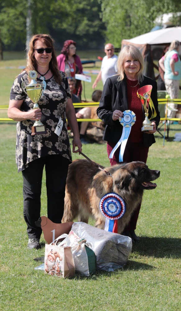 CZ club show 2026