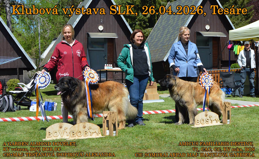 BOB & BOS Slovakia